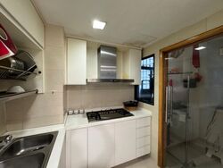 Dunman View (D15), Condominium #472219381